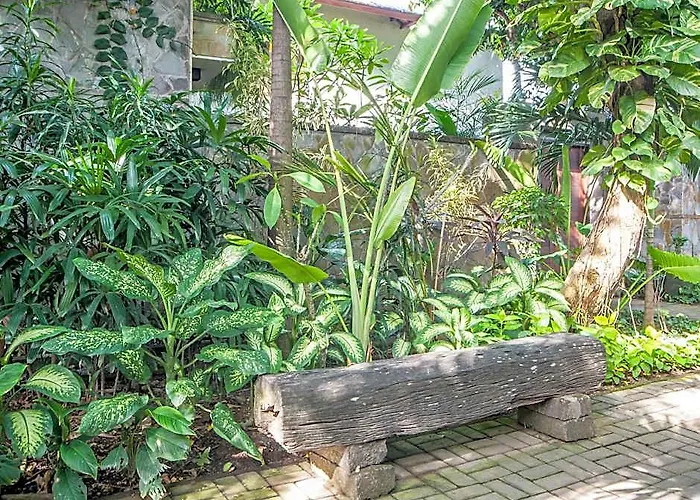 Mango Tree Bali